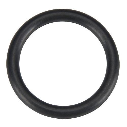O Ring, Plain Chandler Sales