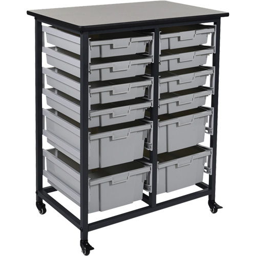 Mobile Bin Storage Unit, Single-sided, 12 bins, 30-3/4" W x 20" D x 37-1/2" H Chandler Sales