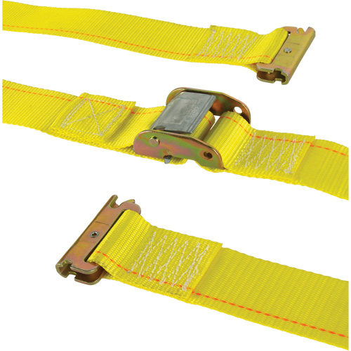 Tendeur d'arrimage utilitaire robuste, Boucle &agrave; came, 2" la x 12' lo, Charge d'utilisation 835 lb (379 kg) Chandler Sales
