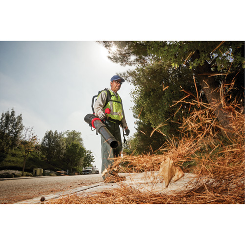 M18 FUEL Dual Battery Backpack Blower Kit, 18 V, 155 MPH Output, Battery Powered Chandler Sales