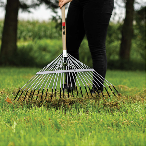 Lawn Rake, 24 Tines, Hardwood Handle, Steel Blade Chandler Sales