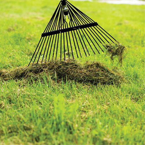 Lawn Rake, 24 Tines, Hardwood Handle, Steel Blade Chandler Sales
