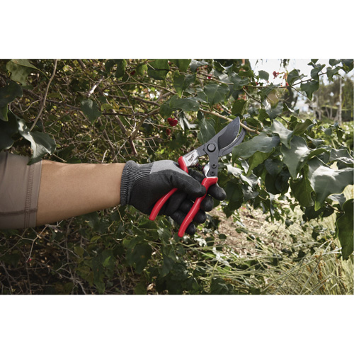 1” Angled Pruning Shears Chandler Sales