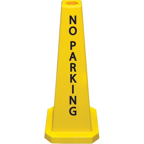 "No Parking" Lamba Traffic Cones, English Chandler Sales