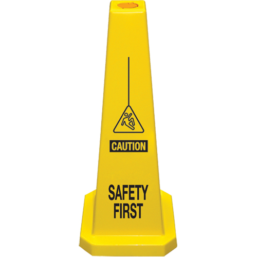 C&ocirc;nes de d&eacute;viation  Safety First , Anglais avec pictogramme Chandler Sales