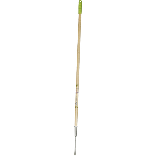 Dandelion Weeder Chandler Sales