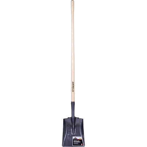 Pro Square Point Shovel, Wood, Tempered Steel Blade, Straight Handle, 48" Long Chandler Sales
