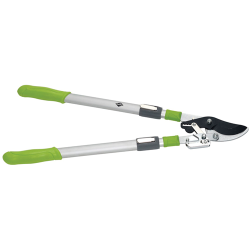 Lopping Shears - By-Pass Ratchet Style Chandler Sales