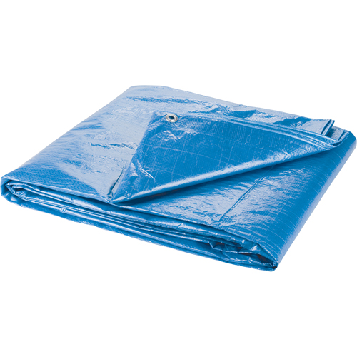 Tarp, Standard Duty, Blue, 7' x 5' x 4 mils Chandler Sales