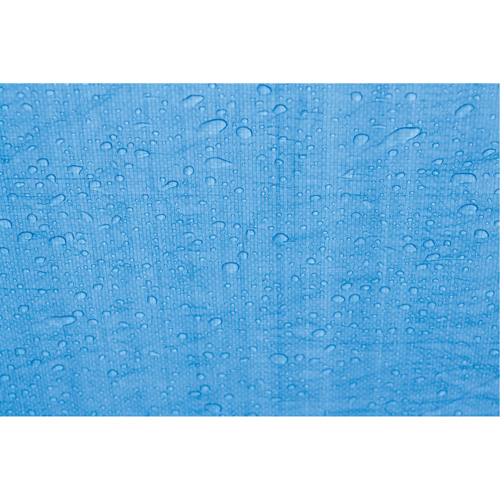 Tarp, Standard Duty, Blue, 7' x 5' x 4 mils Chandler Sales