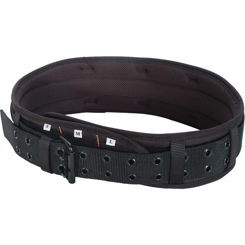 Ceinture porte-outils, Cuir, Noir Chandler Sales