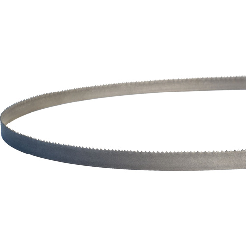 Lames de scie &agrave; ruban portatives Master-Band, Bim&eacute;tal, 18 Dents par pouce, 44-7/8" lo x 1/2" la Chandler Sales