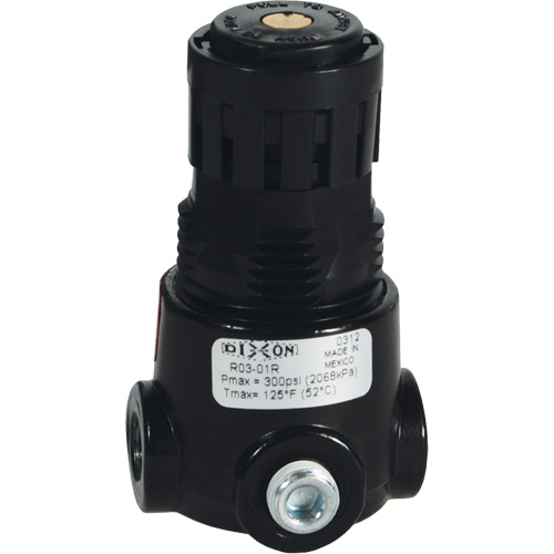 Wilkerson Miniature Regulator R03, 1/4" NPT, 300 psi Max. PSI, Standard Chandler Sales