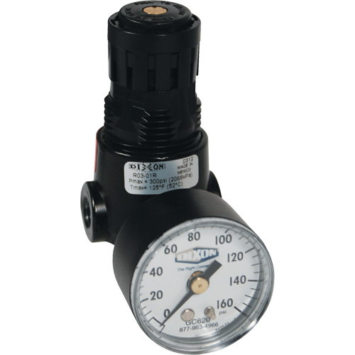 Wilkerson Miniature Regulator R04, 1/4" NPT, 300 psi Max. PSI, Standard Chandler Sales