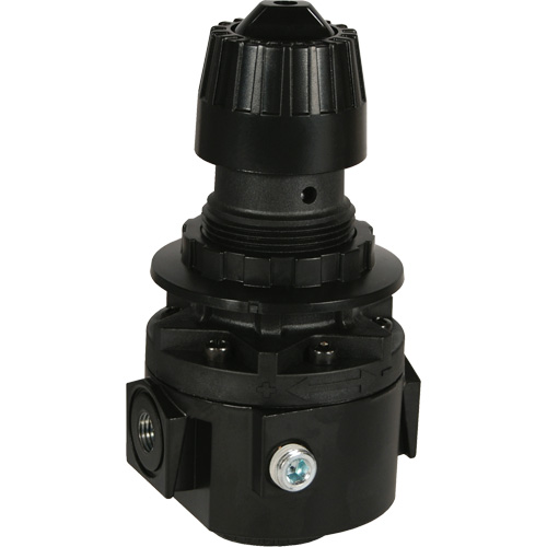 Wilkerson Regulator R26, 1/2" NPT, 300 psi Max. PSI, Standard Chandler Sales