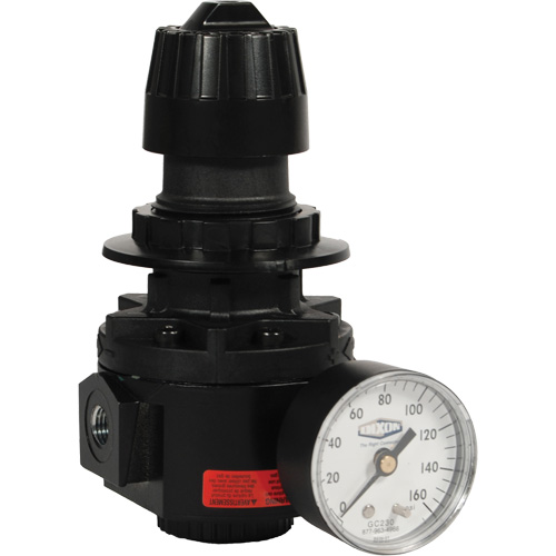 Wilkerson Regulator R26, 1/2" NPT, 300 psi Max. PSI, Standard Chandler Sales