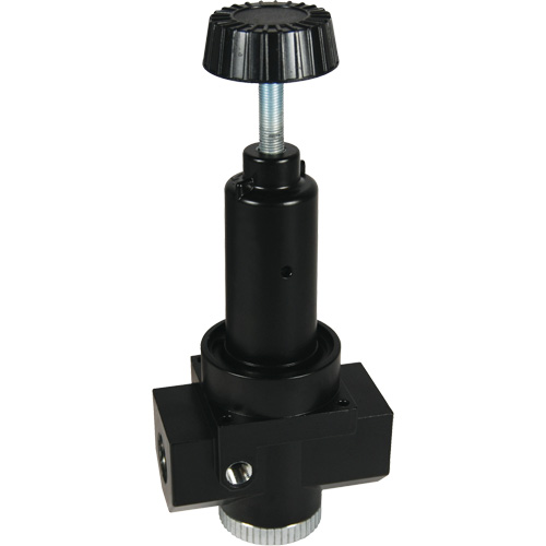Wilkerson High Flow Regulator R30, 1" NPT, 300 psi Max. PSI, Standard Chandler Sales
