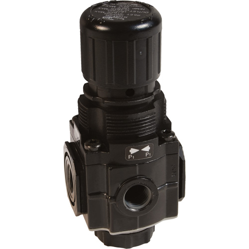 Series 1 Manifold Regulator, 1/4" NPT, 150 PSI Max. PSI, Standard Chandler Sales