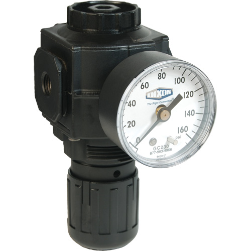R&eacute;gulateur compact de s&eacute;rie 1, 1/2" NPT, PSI max. de 150 psi, Standard Chandler Sales