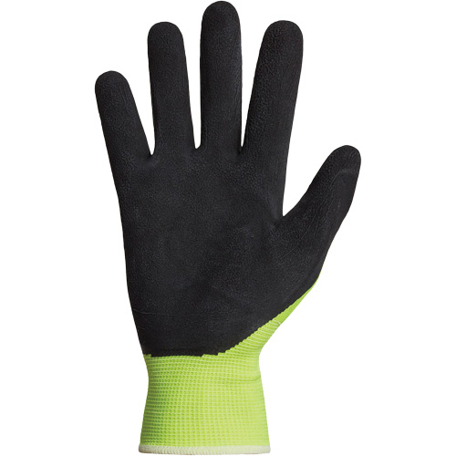 Dexterity&reg; Coated Gloves, 10, Latex Coating, 13 Gauge, Polyester Shell Chandler Sales