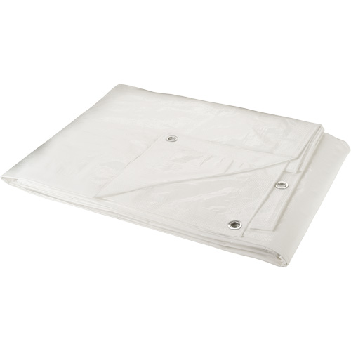 Tarp, Heavy-Duty, White, 30' x 20' x 6 mils Chandler Sales