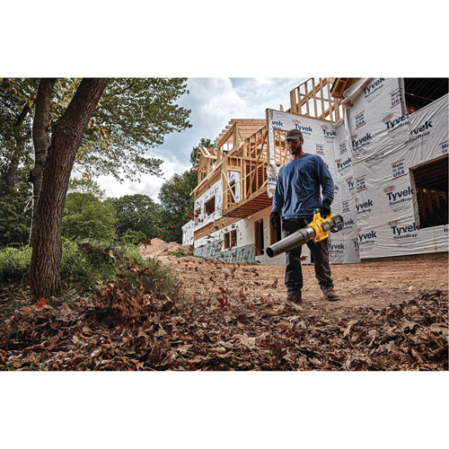 Ventilateur axial &agrave; main sans fil sans balai Max* FlexVolt, 60 V, Vitesse d'air 125 mi/h, &agrave; pile Chandler Sales