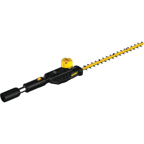 20V Max* Pole Hedge Trimmer Head Chandler Sales