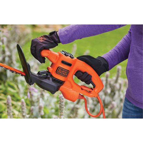 Taille-haie, 17", &eacute;lectrique Chandler Sales