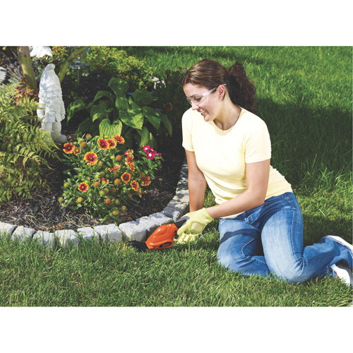 Cisailles de jardin/cisailles &agrave; haie 2-en-1, &agrave; pile, 3,6 V, Largeur de la coupe 4"/6" Chandler Sales