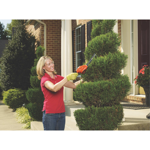 Cisailles de jardin/cisailles &agrave; haie 2-en-1, &agrave; pile, 3,6 V, Largeur de la coupe 4"/6" Chandler Sales