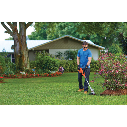 Ensemble coupe-bordure/taille-bordure sans fil Max*, 12", &agrave; pile, 20 V Chandler Sales
