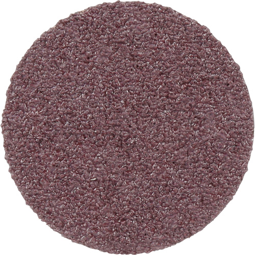 Meule en toile PSA 348D, 20" dia., Grain 60, Oxyde d'aluminium Chandler Sales