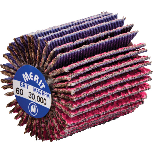 Mini-meule &agrave; lamelles filet&eacute;es, C&eacute;ramique d'alumine, Grain 60, 1" x 1" x 1/4"-20 Chandler Sales