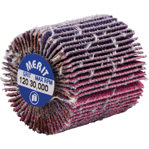 Mini-meule &agrave; lamelles filet&eacute;es, C&eacute;ramique d'alumine, Grain 120, 1" x 1" x 1/4"-20 Chandler Sales