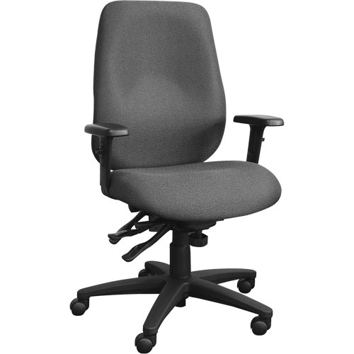 Chaises ergonomiques Cierra , Tissu, Gris, Capacit&eacute; 250 lb Chandler Sales