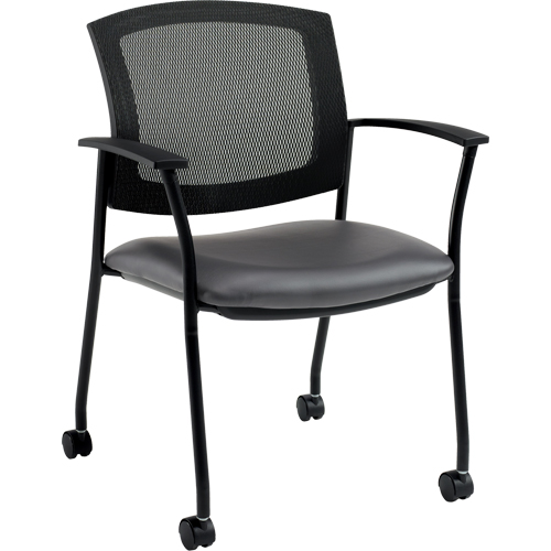 Ibex Guest Chairs Chandler Sales