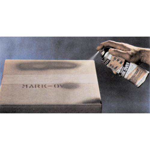 Peintures pour couvrir, Havane, 11 oz, Canette a&eacute;rosol Chandler Sales