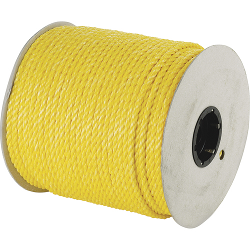 Rope, Polypropylene, 630' Chandler Sales