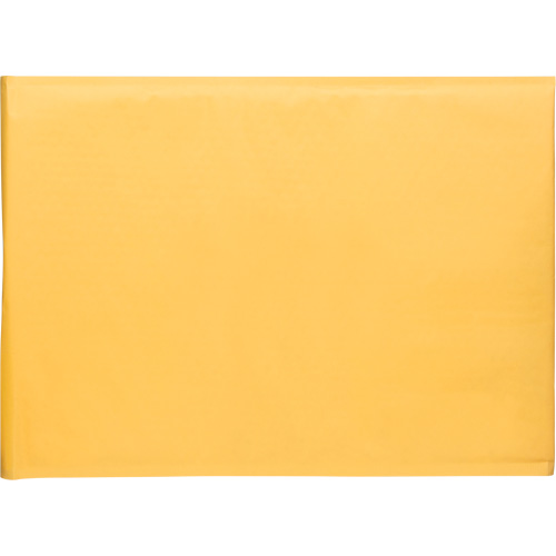 Enveloppes postales coussin&eacute;es, Kraft, 14-1/4" la x 20" lo Chandler Sales