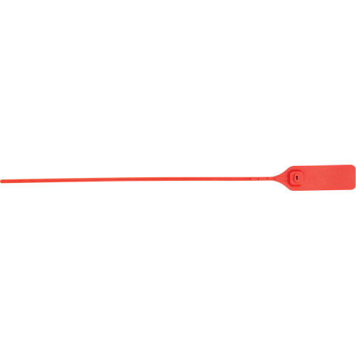 Heavy-Duty Security Seal, 13", Plastic, Pull-Up Seal Chandler Sales