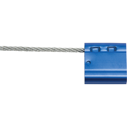 Scell&eacute;s de haute s&eacute;curit&eacute;, 12", M&eacute;tal, Scell&eacute; &agrave; c&acirc;ble Chandler Sales