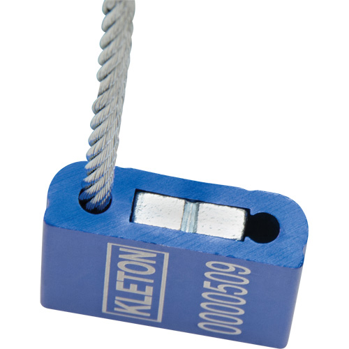 Scell&eacute;s de haute s&eacute;curit&eacute;, 12", M&eacute;tal, Scell&eacute; &agrave; c&acirc;ble Chandler Sales