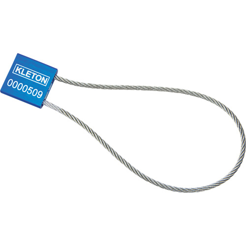 Scell&eacute;s de haute s&eacute;curit&eacute;, 12", M&eacute;tal, Scell&eacute; &agrave; c&acirc;ble Chandler Sales