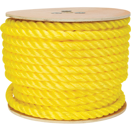 Corde jaune tress&eacute;e, Polypropyl&egrave;ne, 144' Chandler Sales