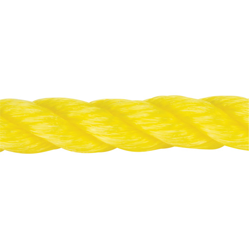 Corde jaune tress&eacute;e, Polypropyl&egrave;ne, 144' Chandler Sales