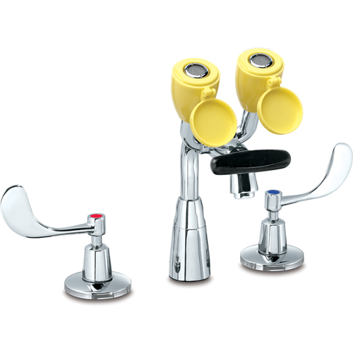 Faucet & Eyewash Station, Sink Mount Installation Chandler Sales