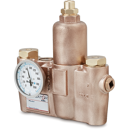 Vannes de m&eacute;lange thermostatiques, 19,5 gal./min Chandler Sales