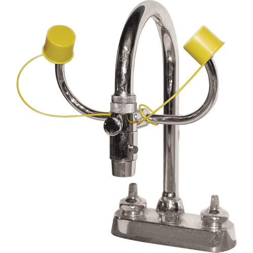 Eyewash Station, Sink Mount Installation Chandler Sales