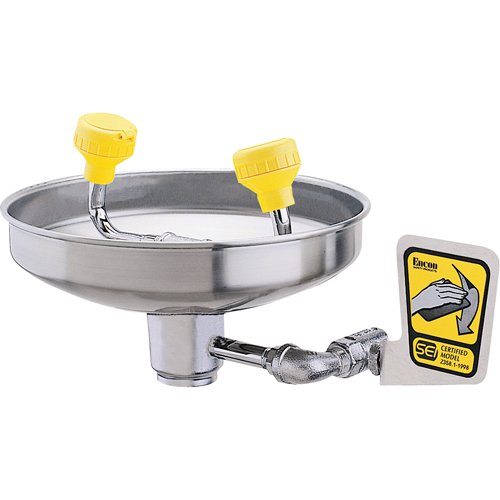 Eyewash With Acetal Heads, Wall-Mount Installation, Stainless Steel Bowl Chandler Sales