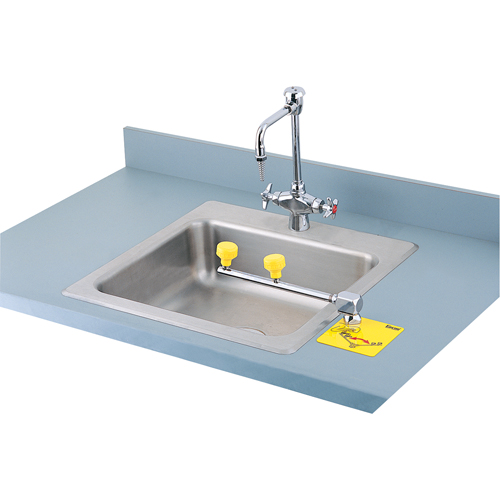Swing-Away Eyewash Station, Counter-Mount Installation Chandler Sales